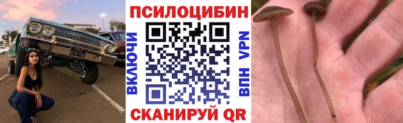 Псилоцибиновые грибы мицелий  Новоуральск 